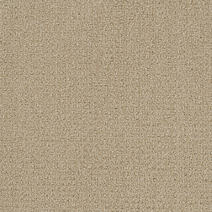 DreamWeaver - Pinpoint - Carpet