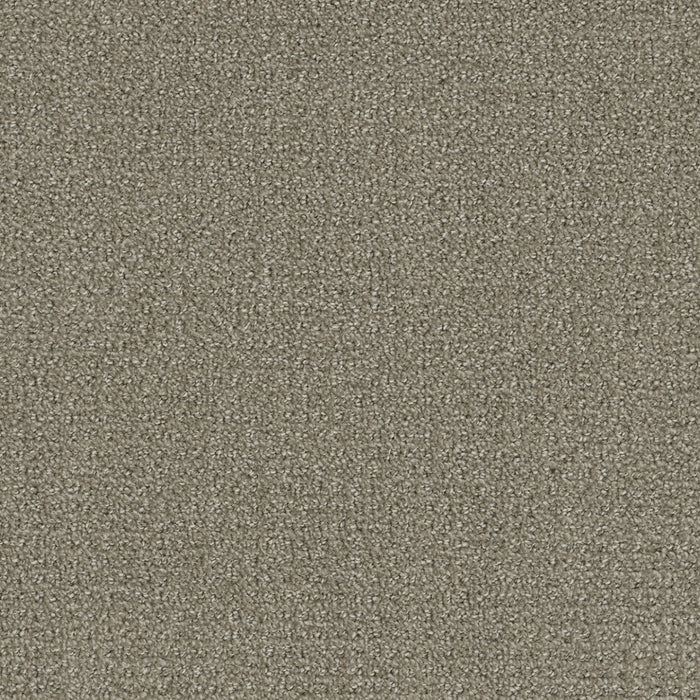 DreamWeaver - Pinpoint - Carpet