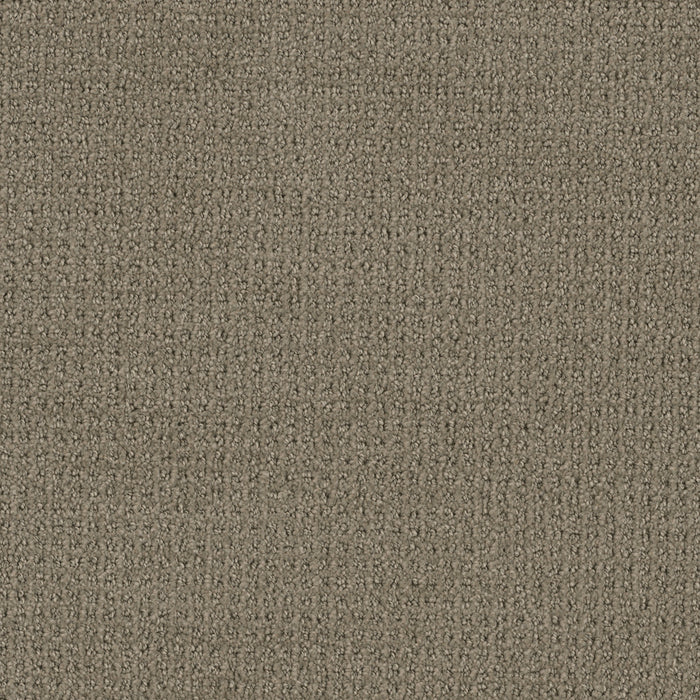 DreamWeaver - Pinpoint - Carpet