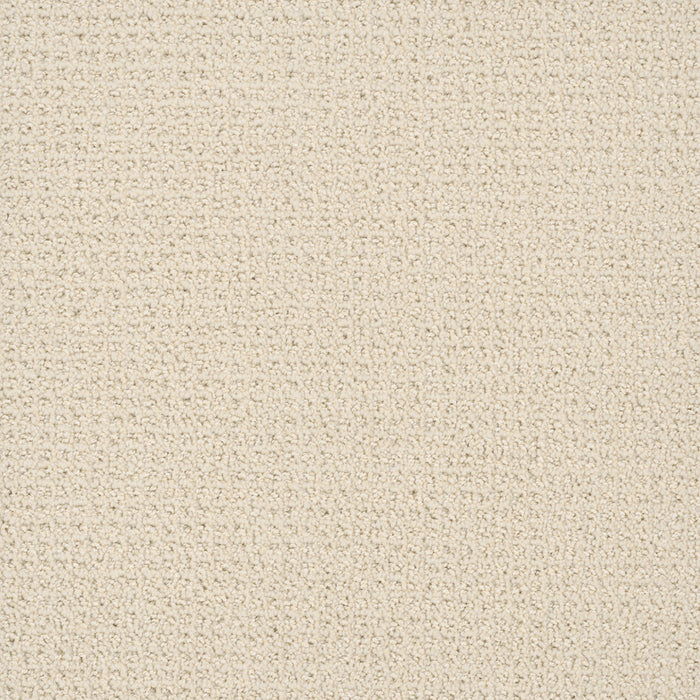 DreamWeaver - Pinpoint - Carpet