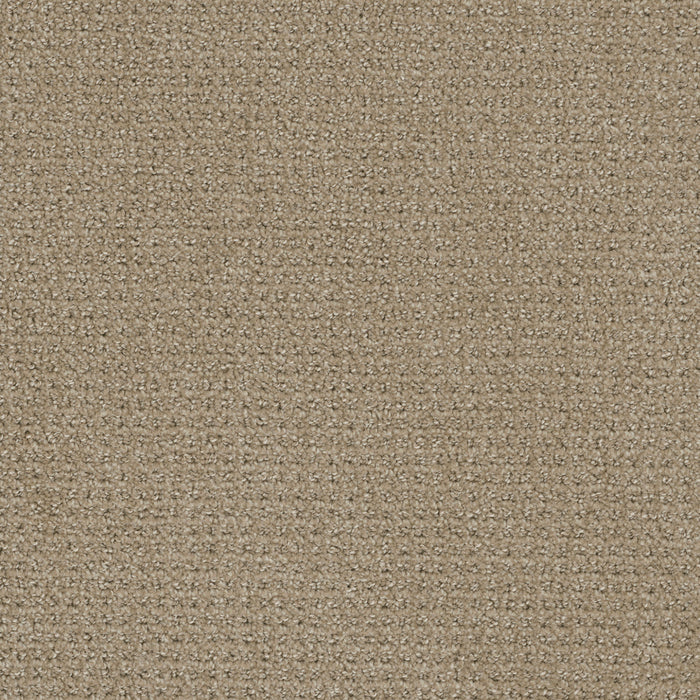 DreamWeaver - Pinpoint - Carpet