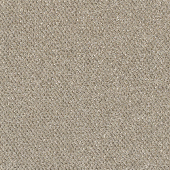 DreamWeaver - Prime - Carpet