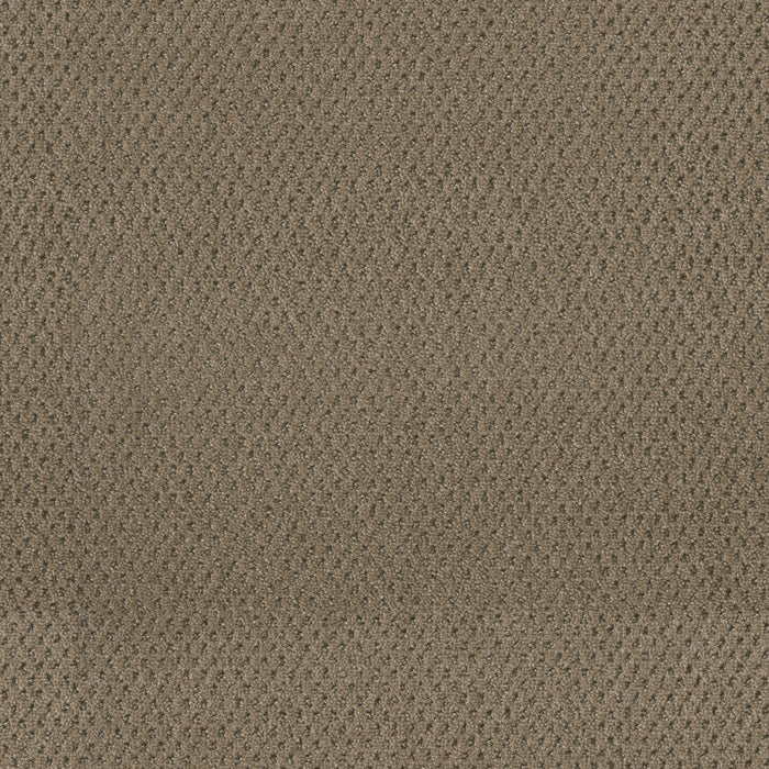 DreamWeaver - Prime - Carpet