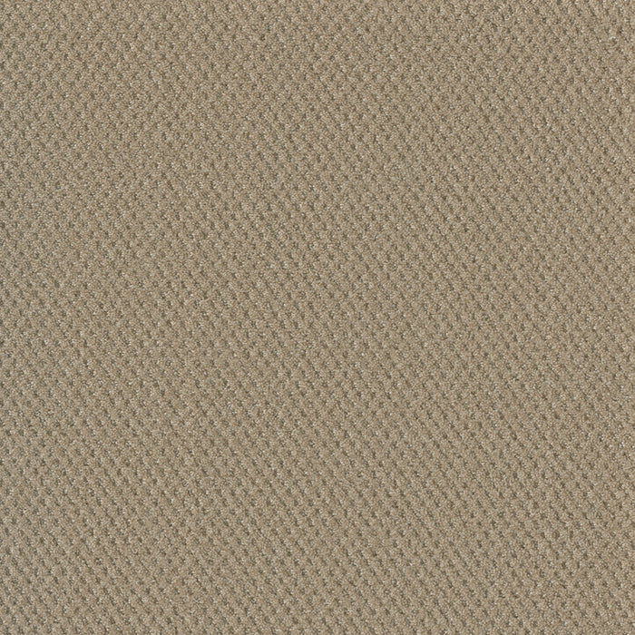 DreamWeaver - Prime - Carpet