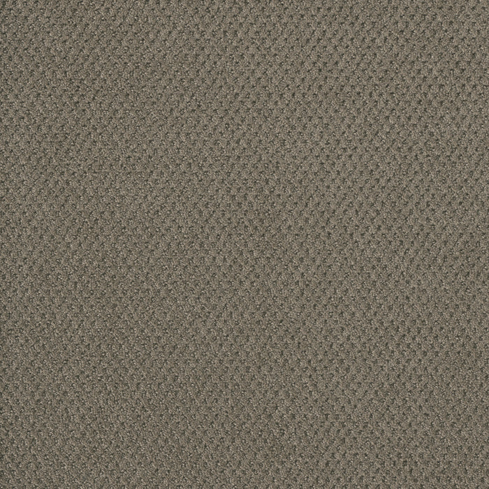 DreamWeaver - Prime - Carpet