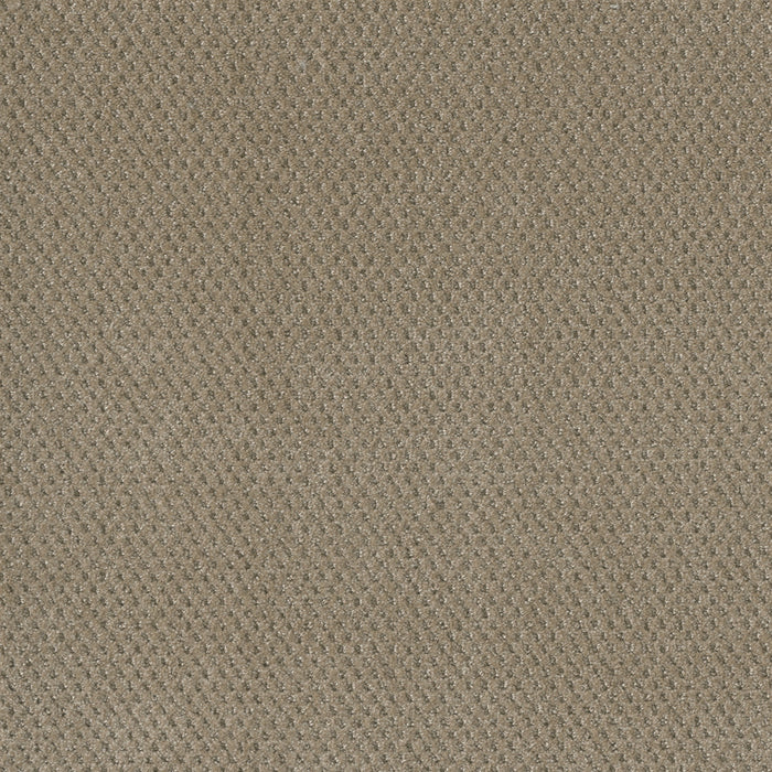 DreamWeaver - Prime - Carpet