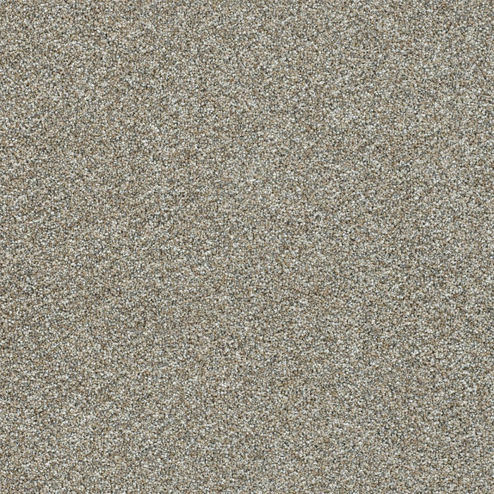 DreamWeaver - PureColor - Affinity III - Carpet