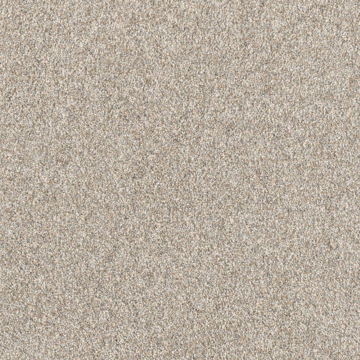 DreamWeaver - PureColor - Affinity III - Carpet