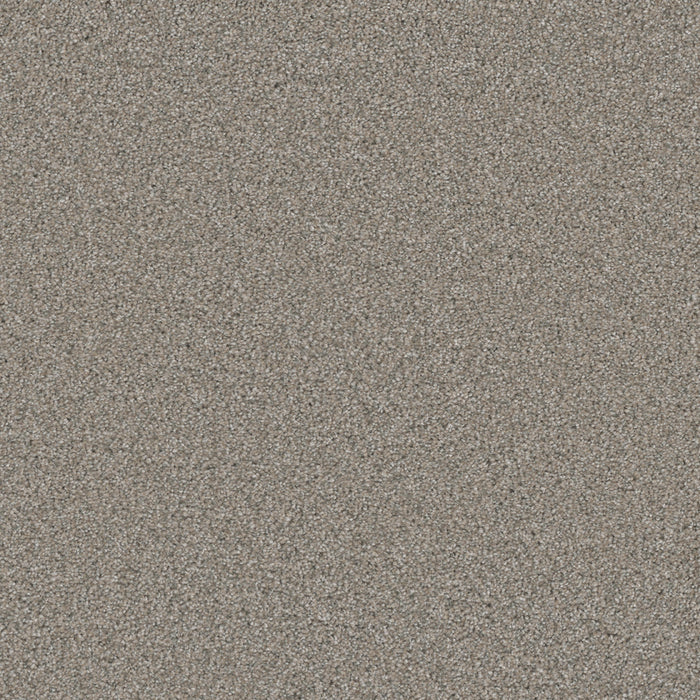 DreamWeaver - Royale II - Carpet