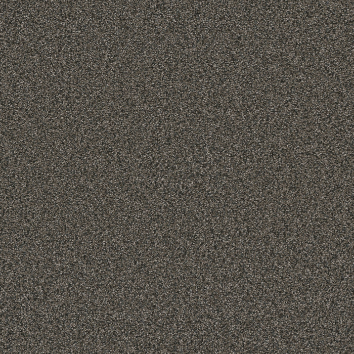 DreamWeaver - Royale II - Carpet