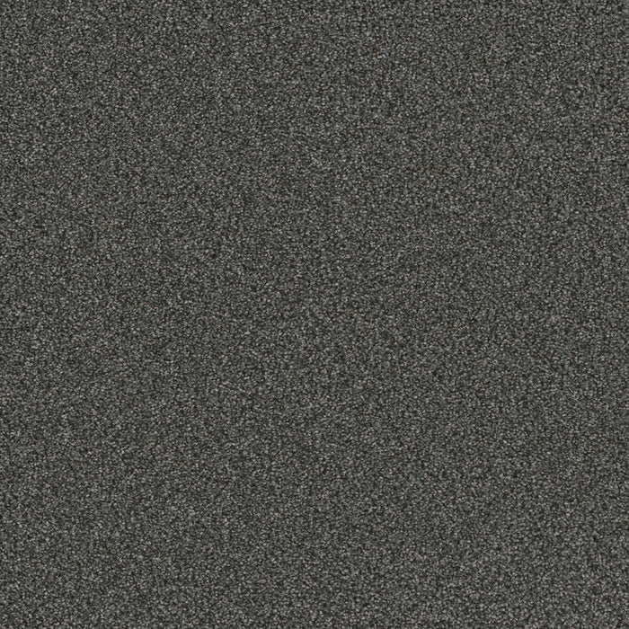 DreamWeaver - Royale II - Carpet