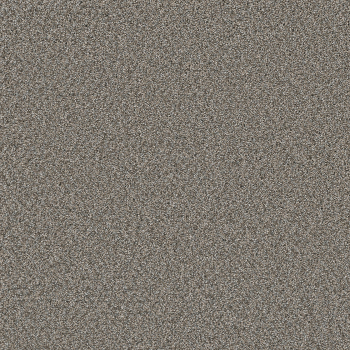 DreamWeaver - Royale II - Carpet