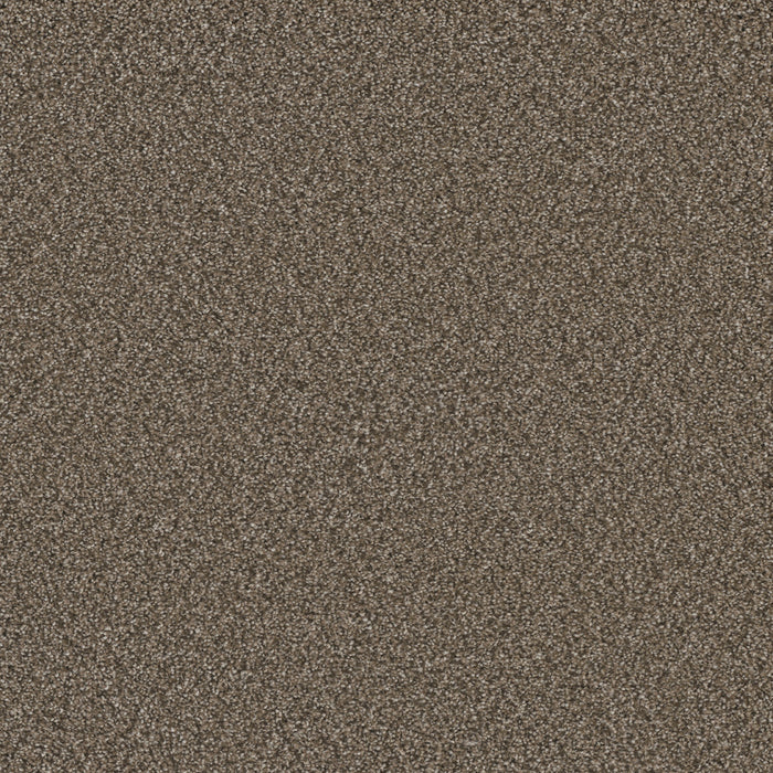 DreamWeaver - Royale II - Carpet