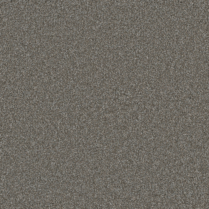 DreamWeaver - Royale II - Carpet