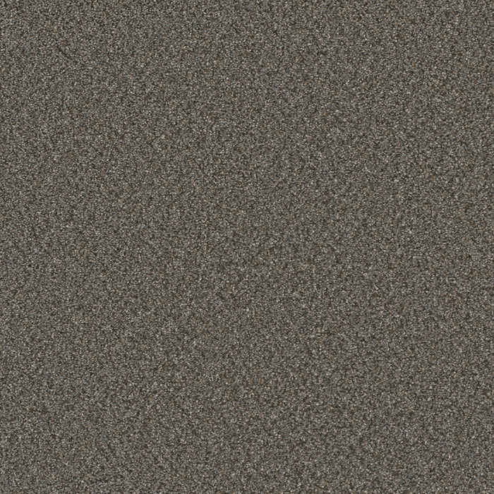 DreamWeaver - Royale II - Carpet