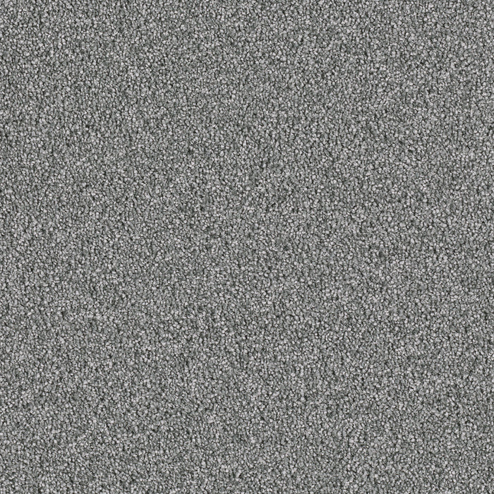 DreamWeaver - Royale II - Carpet