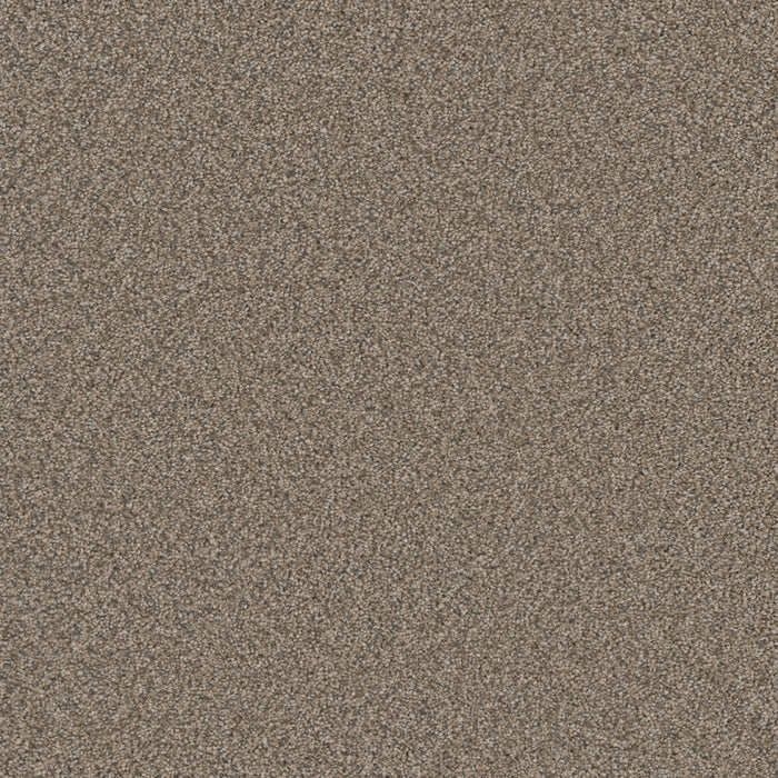 DreamWeaver - Royale II - Carpet