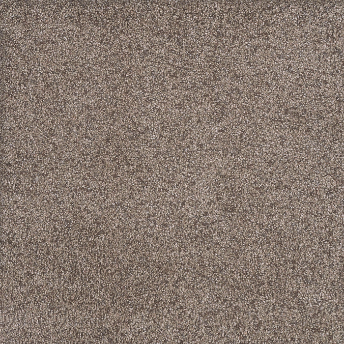 DreamWeaver - Rustic Retreat II - Carpet