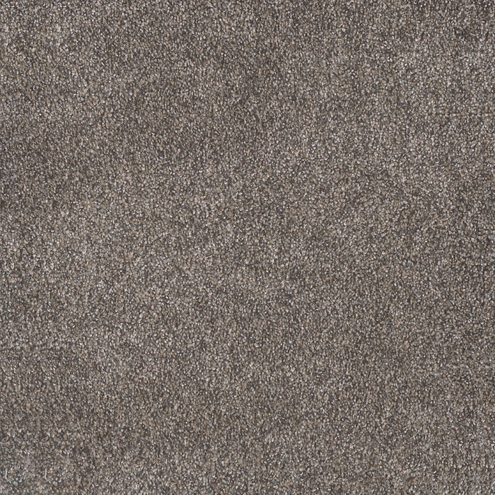 DreamWeaver - Rustic Retreat II - Carpet