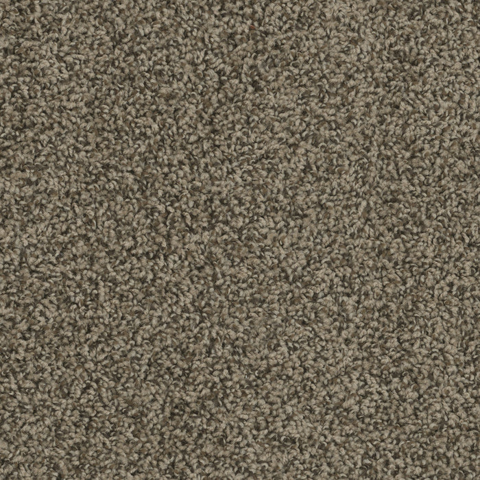DreamWeaver - SP250 - Carpet