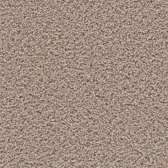 DreamWeaver - SP250 - Carpet