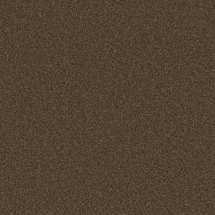 DreamWeaver - SP250 - Carpet