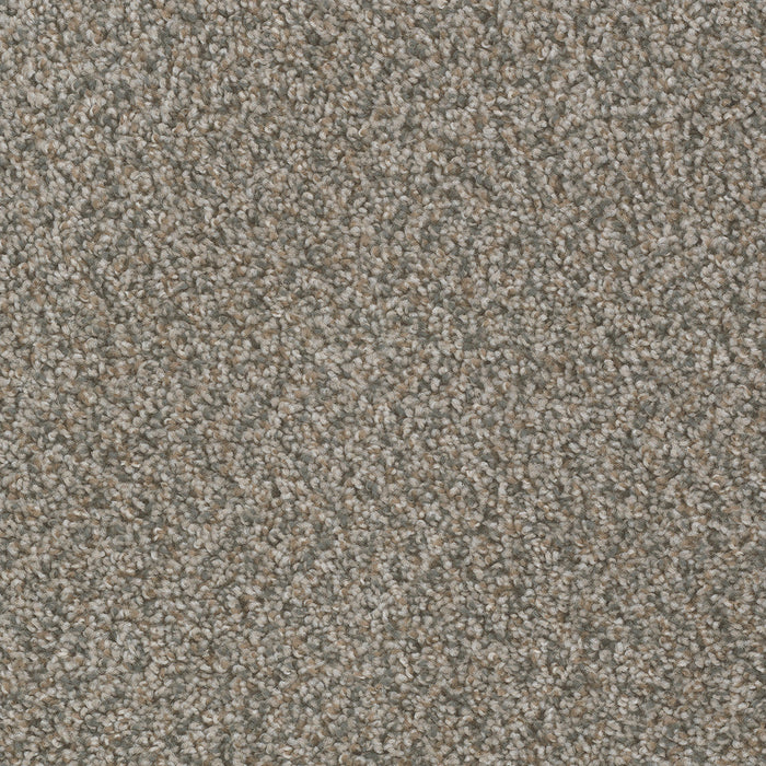 DreamWeaver - SP250 - Carpet