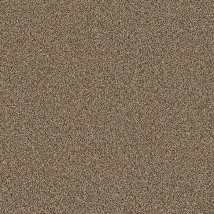 DreamWeaver - SP250 - Carpet