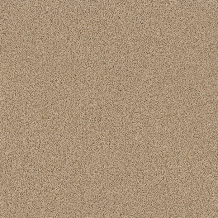 DreamWeaver - SP250 - Carpet