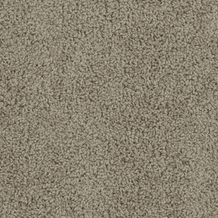 DreamWeaver - SP250 - Carpet