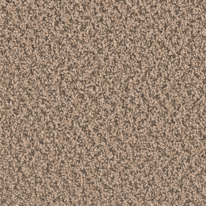 DreamWeaver - SP250 - Carpet