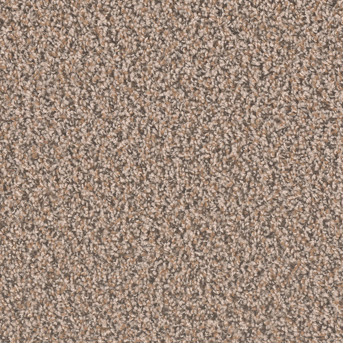 DreamWeaver - SP250 - Carpet