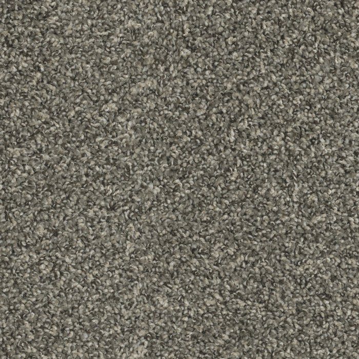 DreamWeaver - SP250 - Carpet