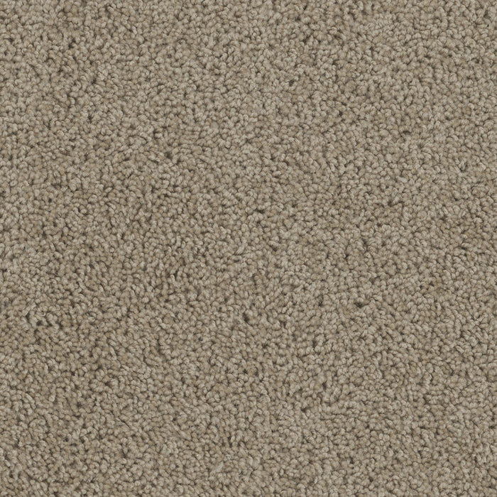 DreamWeaver - SP250 - Carpet