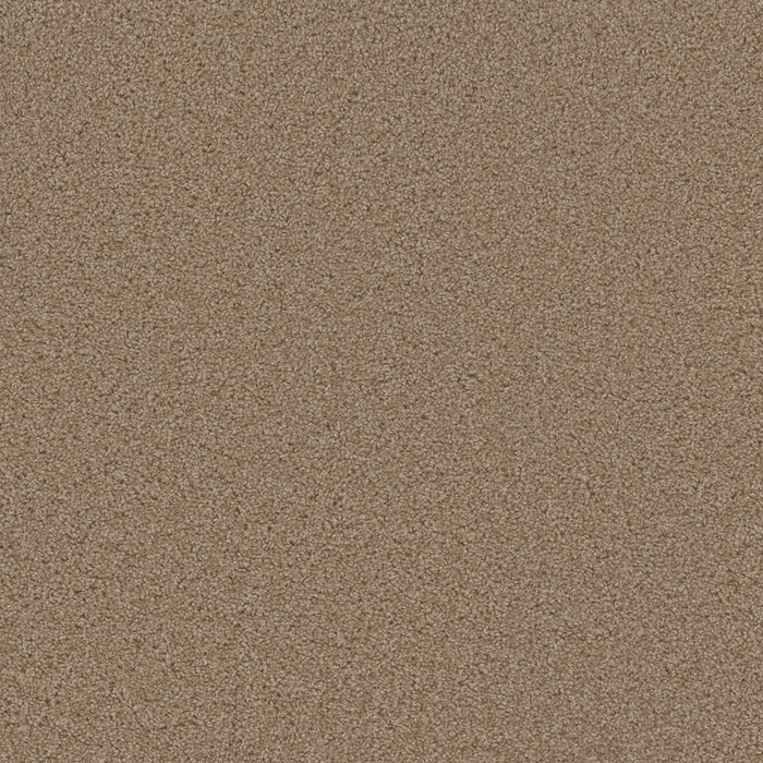 DreamWeaver - SP250 - Carpet