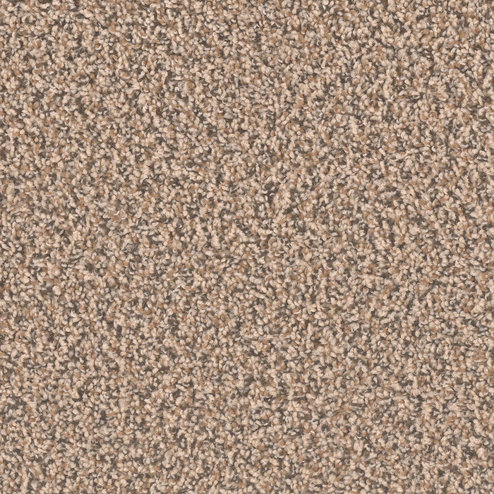 DreamWeaver - SP250 - Carpet