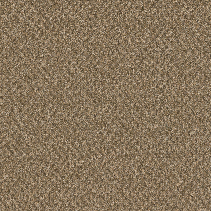 DreamWeaver - SP251 - Carpet