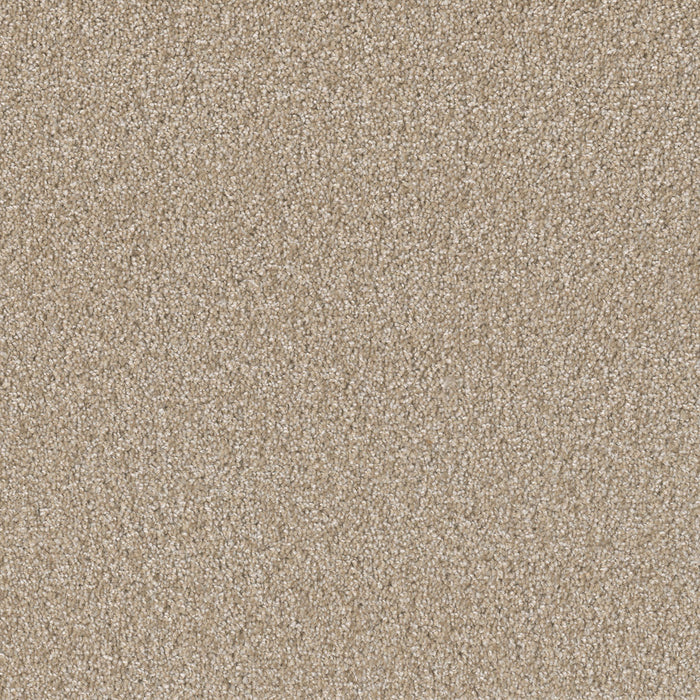 DreamWeaver - SP251 - Carpet
