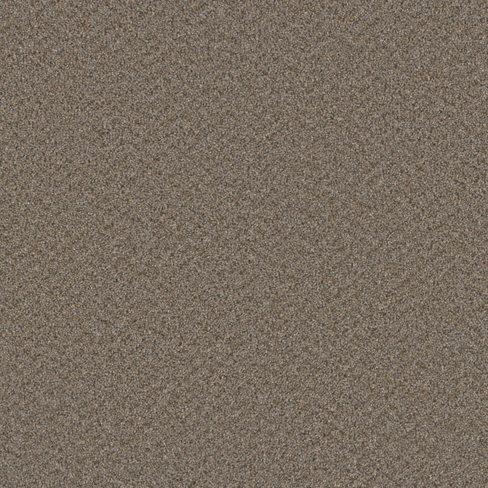 DreamWeaver - SP251 - Carpet