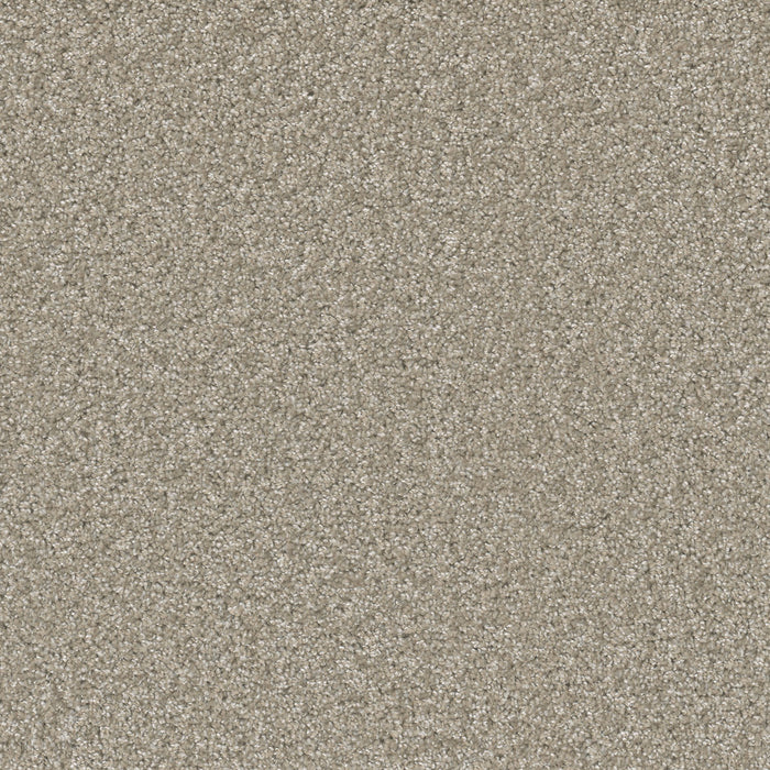 DreamWeaver - SP251 - Carpet