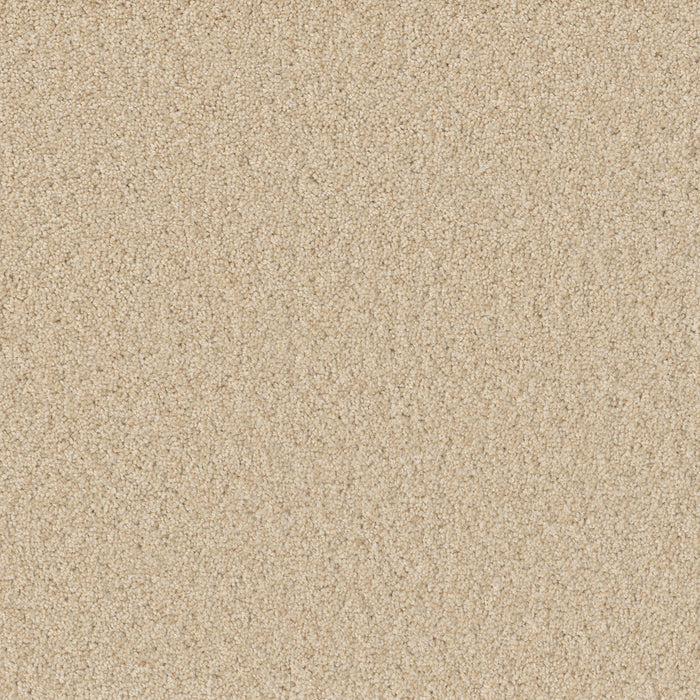 DreamWeaver - SP251 - Carpet