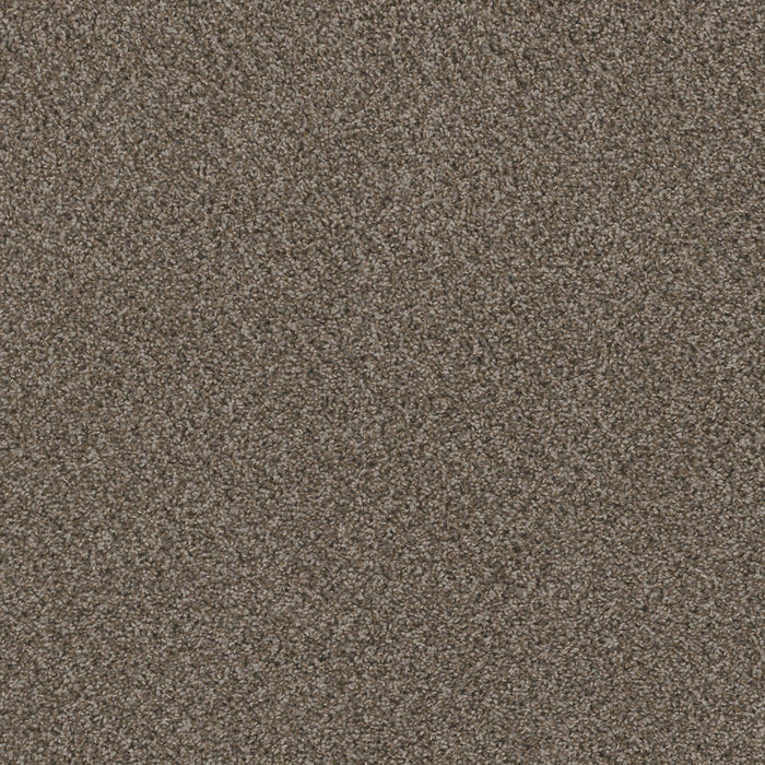 DreamWeaver - SP251 - Carpet