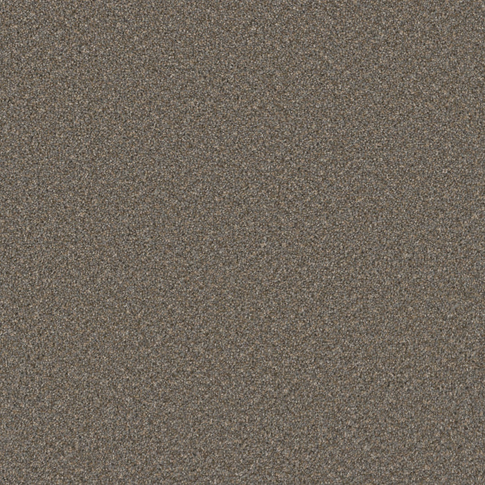 DreamWeaver - SP251 - Carpet