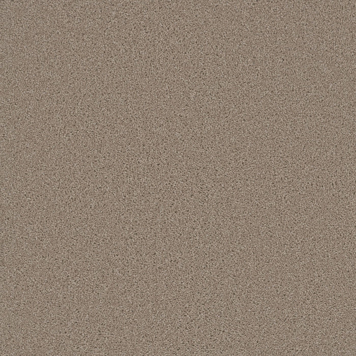 DreamWeaver - SP251 - Carpet