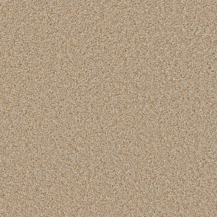 DreamWeaver - SP251 - Carpet
