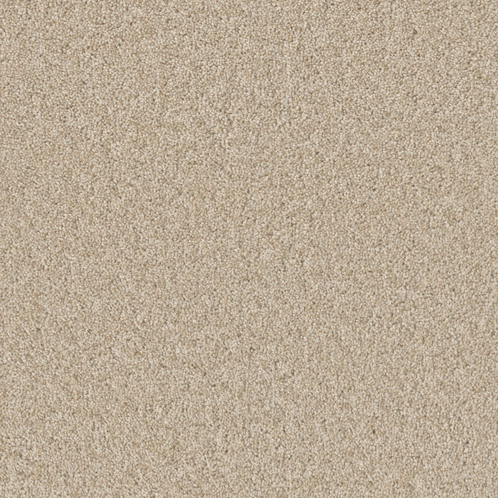 DreamWeaver - SP251 - Carpet
