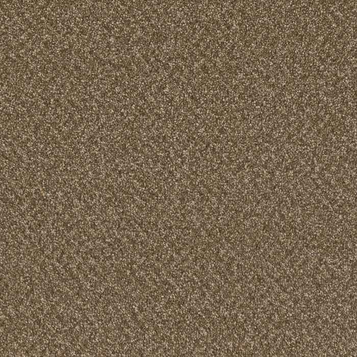 DreamWeaver - SP251 - Carpet