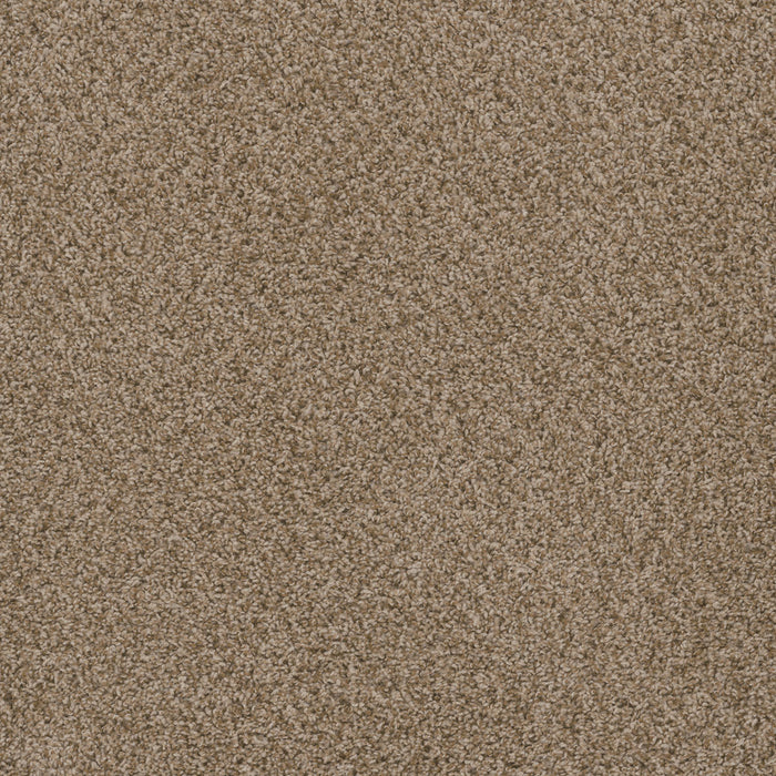 DreamWeaver - SP251 - Carpet