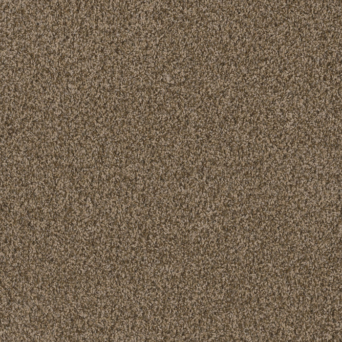 DreamWeaver - SP251 - Carpet