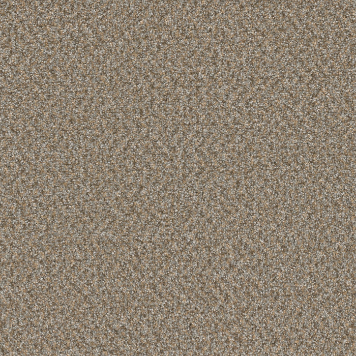 DreamWeaver - SP251 - Carpet